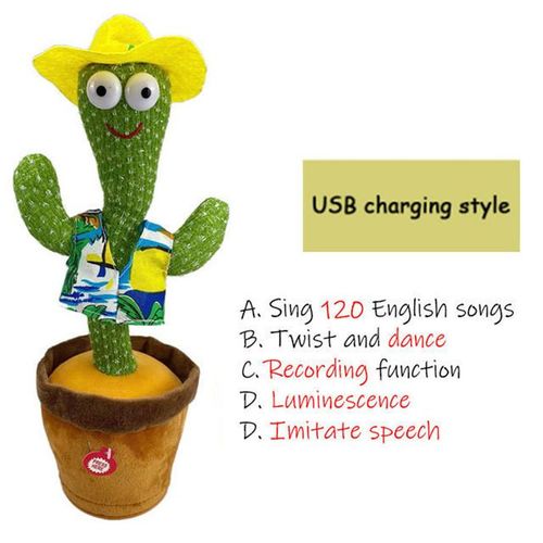 Dancing Cactus
